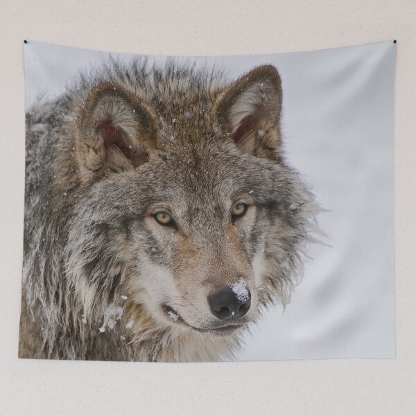 Item preview, Timber Wolf designed and sold by WolvesOnly.