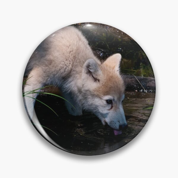 Item preview, Arctic Wolf Pup designed and sold by WolvesOnly.