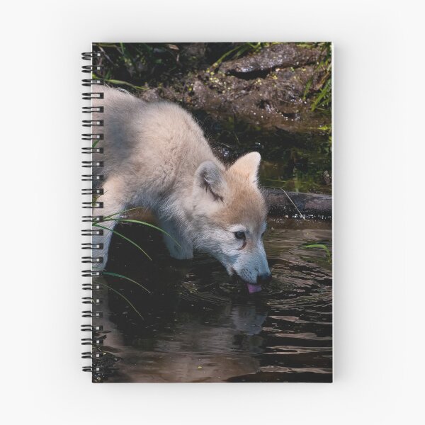 Item preview, Arctic Wolf Pup designed and sold by WolvesOnly.