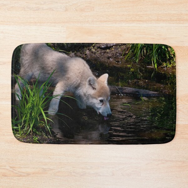 Artikelvorschau, Arctic Wolf Pup entworfen und verkauft von WolvesOnly.