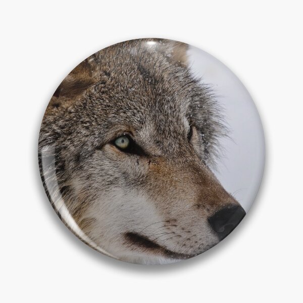 Item preview, Timber Wolf designed and sold by WolvesOnly.
