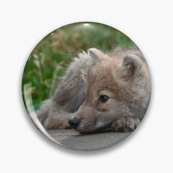 Item preview, Arctic Wolf Pup designed and sold by WolvesOnly.