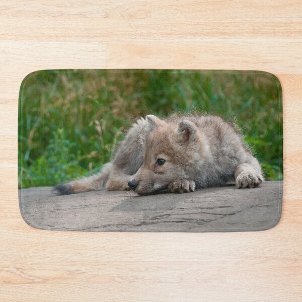 Item preview, Arctic Wolf Pup designed and sold by WolvesOnly.