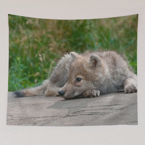 Item preview, Arctic Wolf Pup designed and sold by WolvesOnly.
