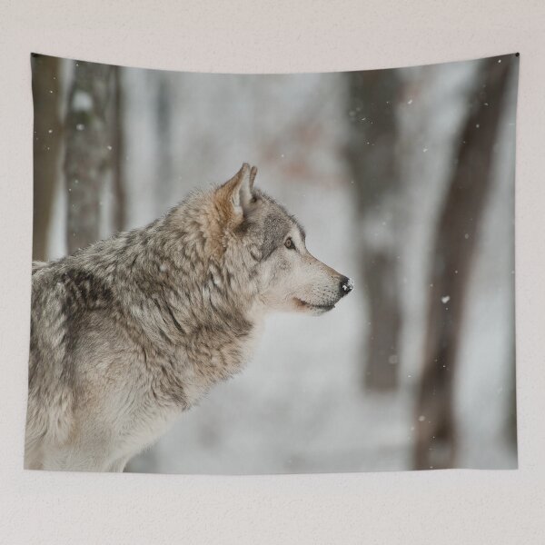 Artikelvorschau, Timber Wolf entworfen und verkauft von WolvesOnly.