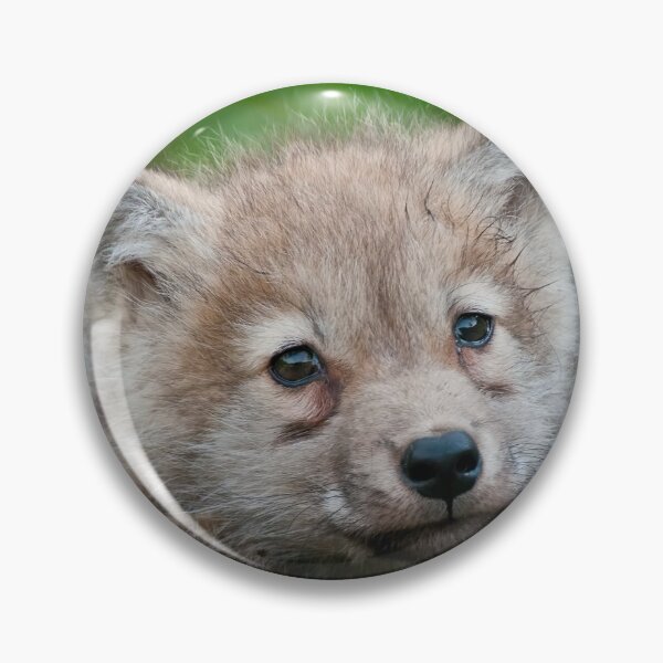 Item preview, Arctic Wolf Pup designed and sold by WolvesOnly.
