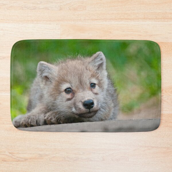 Item preview, Arctic Wolf Pup designed and sold by WolvesOnly.