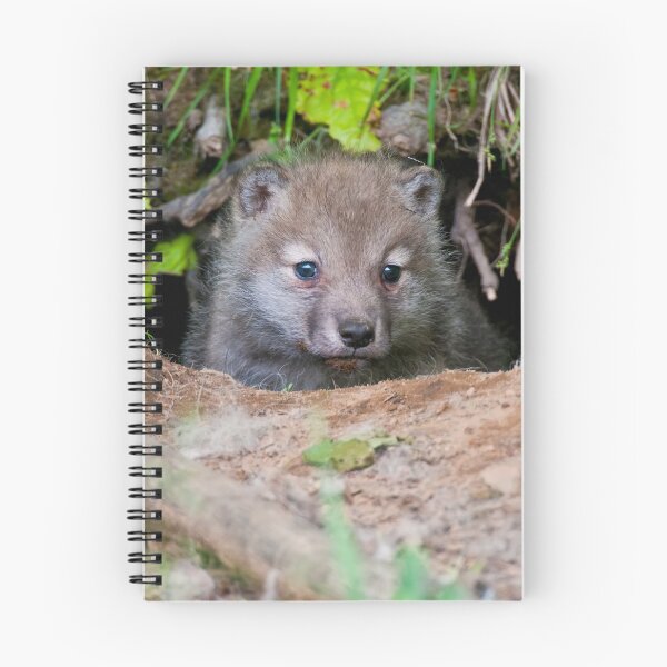 Artikelvorschau, Arctic Wolf Pup entworfen und verkauft von WolvesOnly.