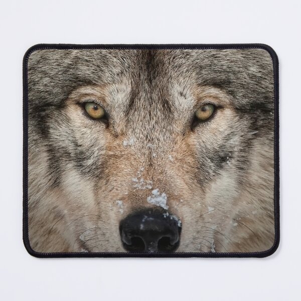 Item preview, Timber Wolf designed and sold by WolvesOnly.