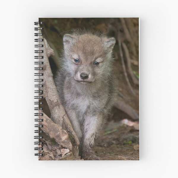 Item preview, Arctic Wolf Pup designed and sold by WolvesOnly.