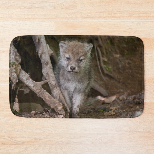 Artikelvorschau, Arctic Wolf Pup entworfen und verkauft von WolvesOnly.