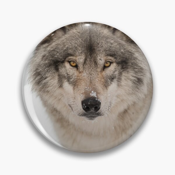 Item preview, Timber Wolf designed and sold by WolvesOnly.