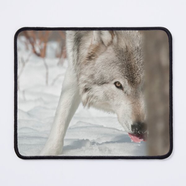 Item preview, Timber Wolf designed and sold by WolvesOnly.