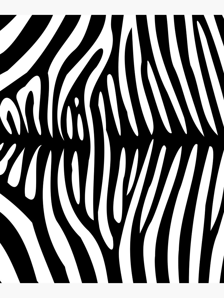 "Zebra Rug" Sticker for Sale by AymeNDok Redbubble