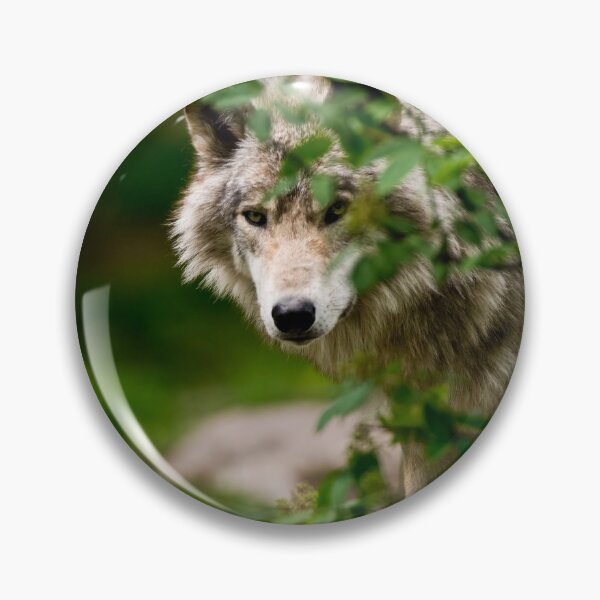 Artikelvorschau, Timber Wolf entworfen und verkauft von WolvesOnly.