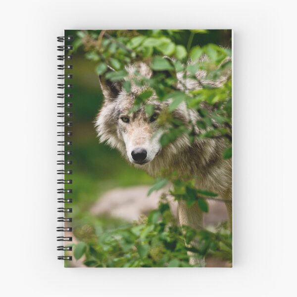 Artikelvorschau, Timber Wolf entworfen und verkauft von WolvesOnly.