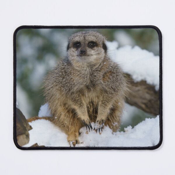 Item preview, Meerkat In The Snow designed and sold by rawshutterbug.
