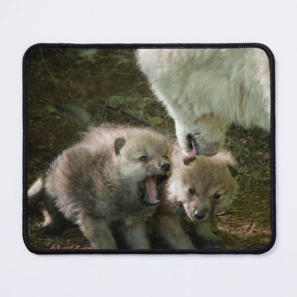 Item preview, Arctic Wolf With Pup designed and sold by WolvesOnly.