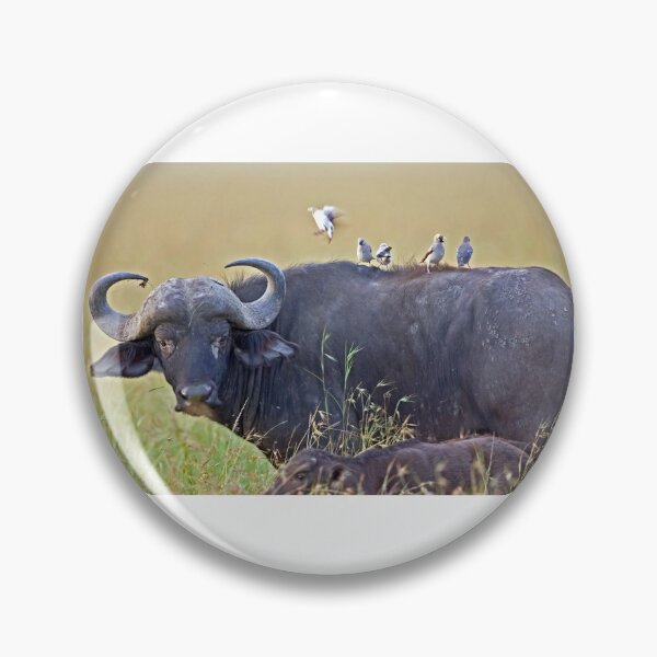 Item preview, Cape Buffalo with Red Billed-Oxpecker designed and sold by DocSaunders.
