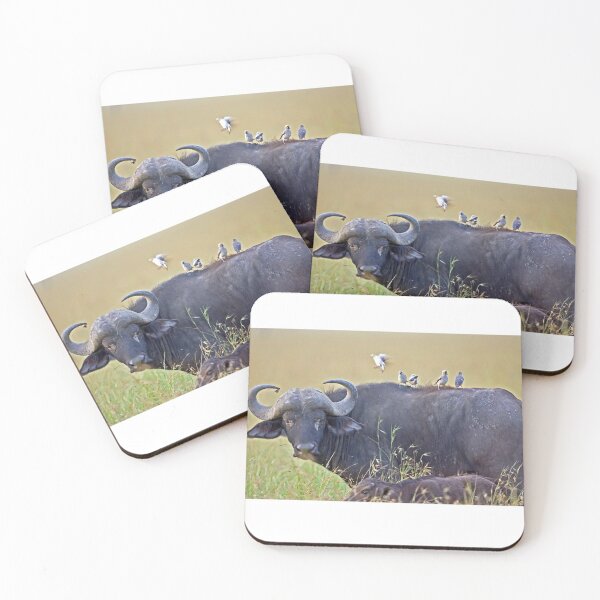 Item preview, Cape Buffalo with Red Billed-Oxpecker designed and sold by DocSaunders.