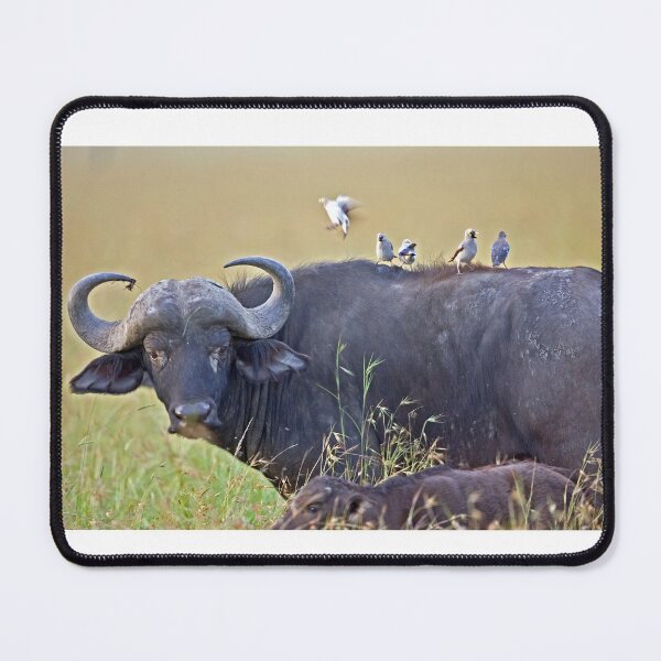 Item preview, Cape Buffalo with Red Billed-Oxpecker designed and sold by DocSaunders.