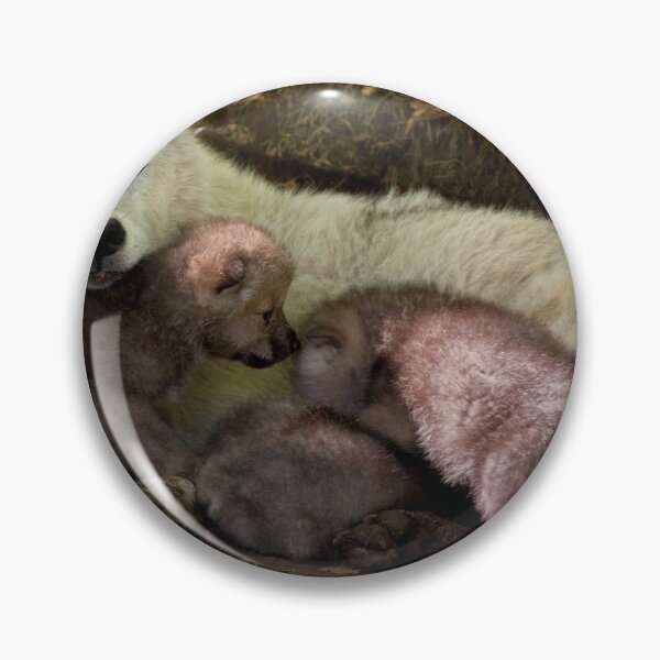 Artikelvorschau, Arctic Wolf And Pups entworfen und verkauft von WolvesOnly.