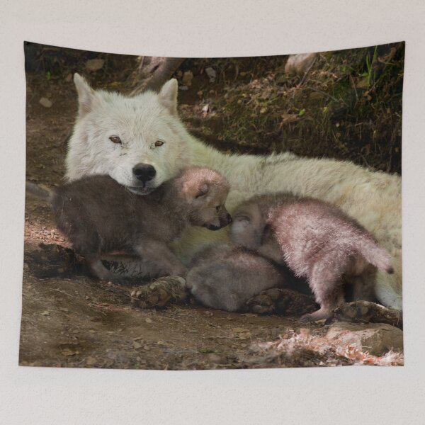 Item preview, Arctic Wolf And Pups designed and sold by WolvesOnly.