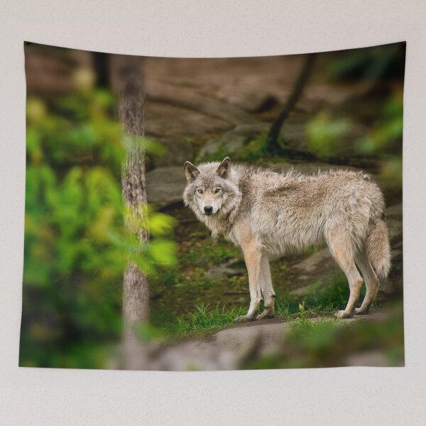 Item preview, Timber Wolf designed and sold by WolvesOnly.