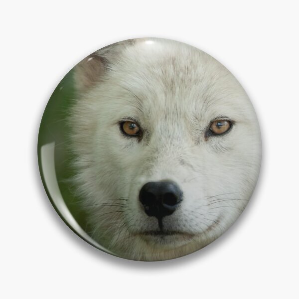 Item preview, Arctic Wolf designed and sold by WolvesOnly.