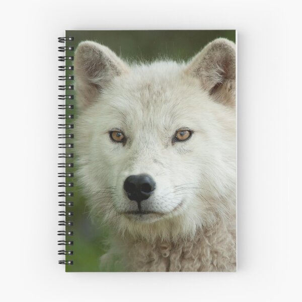 Item preview, Arctic Wolf designed and sold by WolvesOnly.