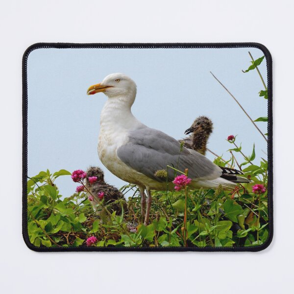 Item preview, Gull & chicks on nest designed and sold by Random Railways.