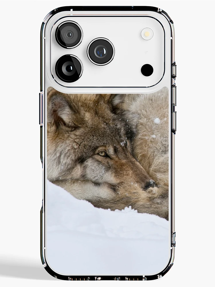 Thumbnail 1 of 5, iPhone Case, Timber Wolf designed and sold by WolvesOnly.