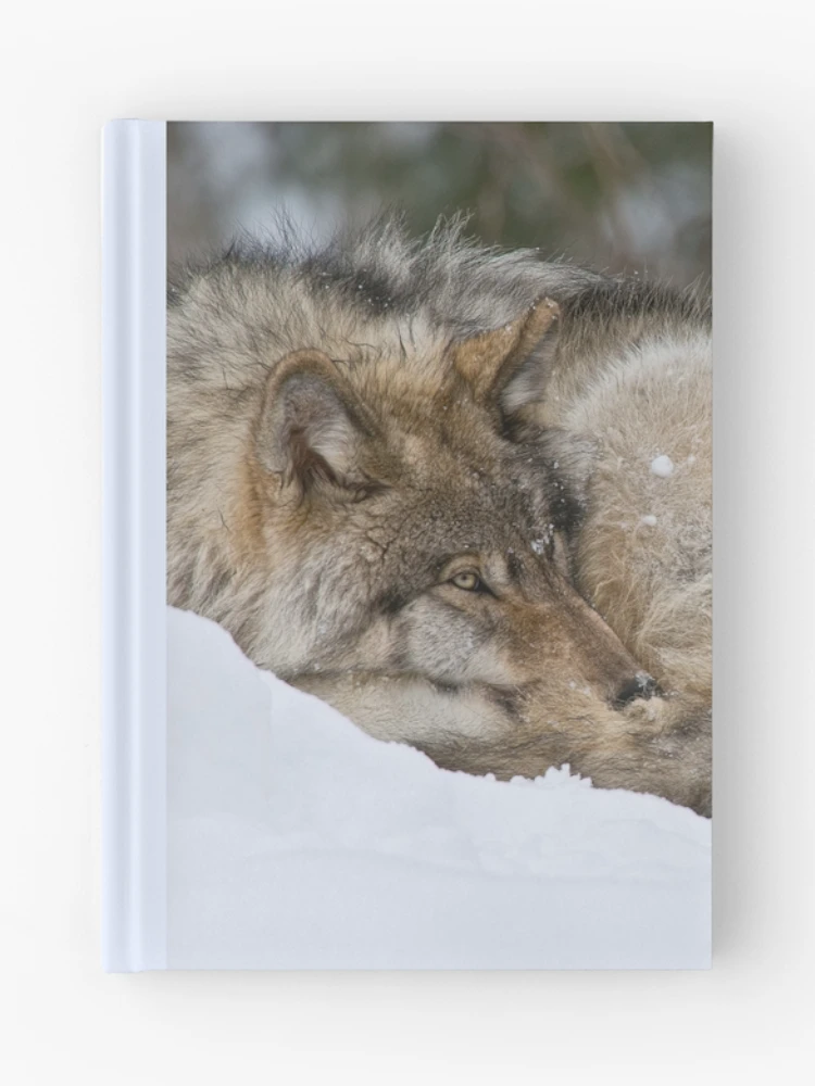 Thumbnail 1 of 3, Journal, Timber Wolf designed and sold by WolvesOnly.