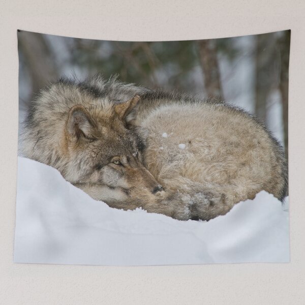 Item preview, Timber Wolf designed and sold by WolvesOnly.