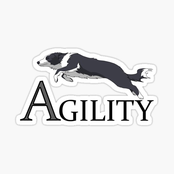 Item preview, Agility - Jumping Border Collie designed and sold by AndromedaFIN.