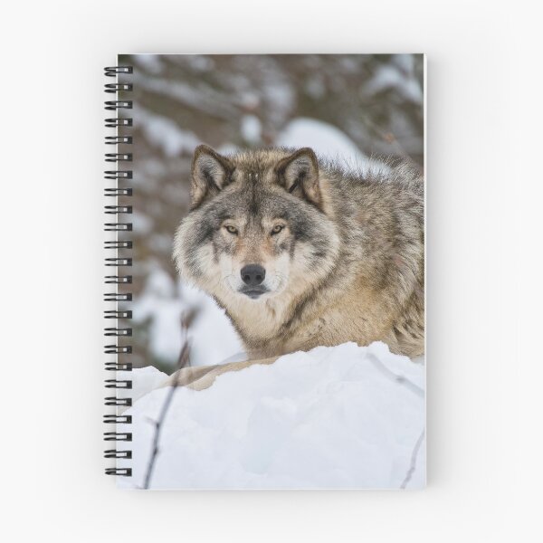 Artikelvorschau, Timber Wolf entworfen und verkauft von WolvesOnly.