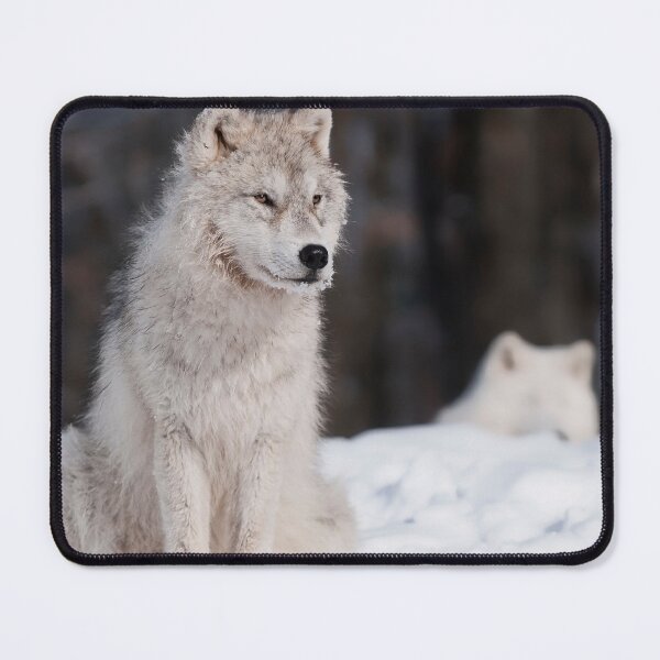 Item preview, Arctic Wolf Pup designed and sold by WolvesOnly.