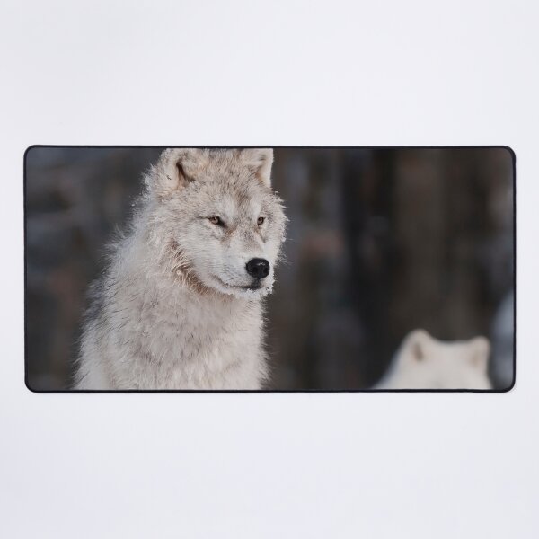 Item preview, Arctic Wolf Pup designed and sold by WolvesOnly.