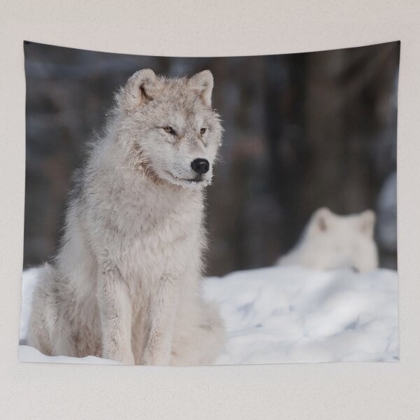 Item preview, Arctic Wolf Pup designed and sold by WolvesOnly.