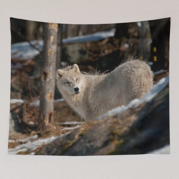 Item preview, Arctic Wolf Pup designed and sold by WolvesOnly.