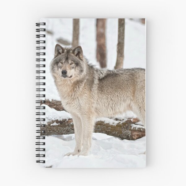 Item preview, Timber Wolf designed and sold by WolvesOnly.