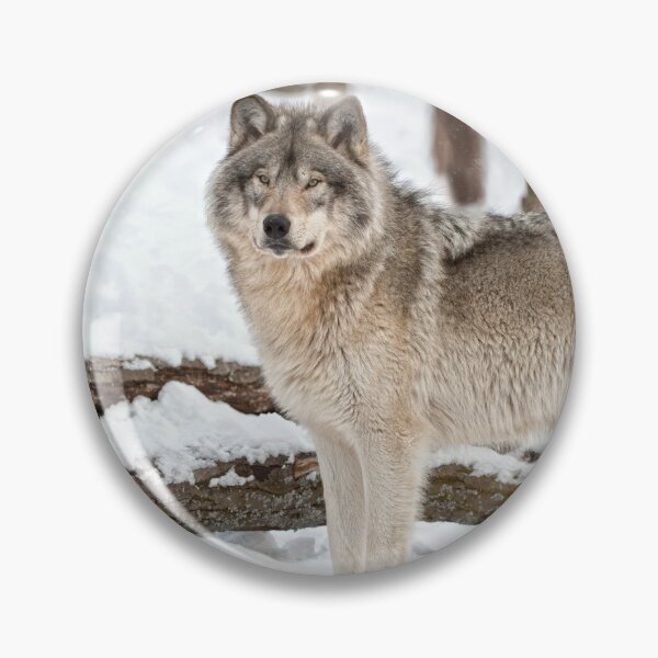 Item preview, Timber Wolf designed and sold by WolvesOnly.