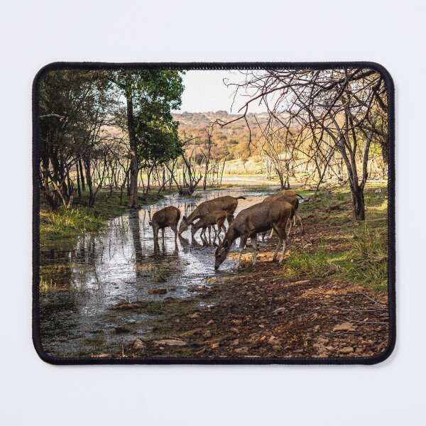 Item preview, Sambar deer at a waterhole designed and sold by Pravine Chester.