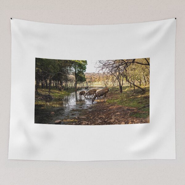 Item preview, Sambar deer at a waterhole designed and sold by Pravine Chester.