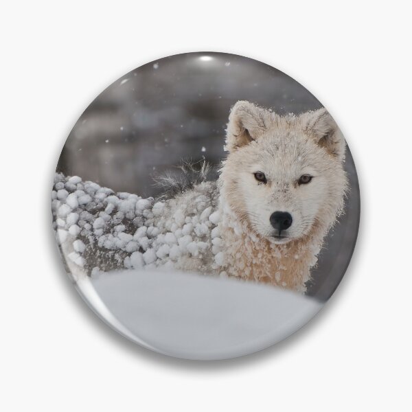 Item preview, Arctic Wolf designed and sold by WolvesOnly.
