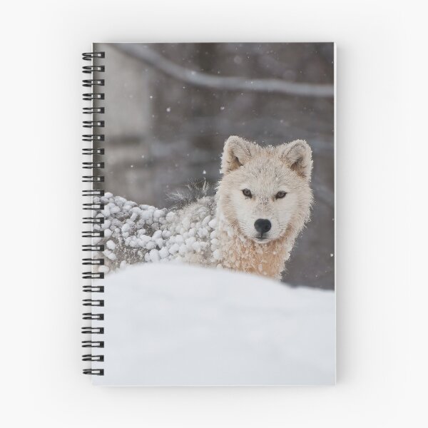 Item preview, Arctic Wolf designed and sold by WolvesOnly.
