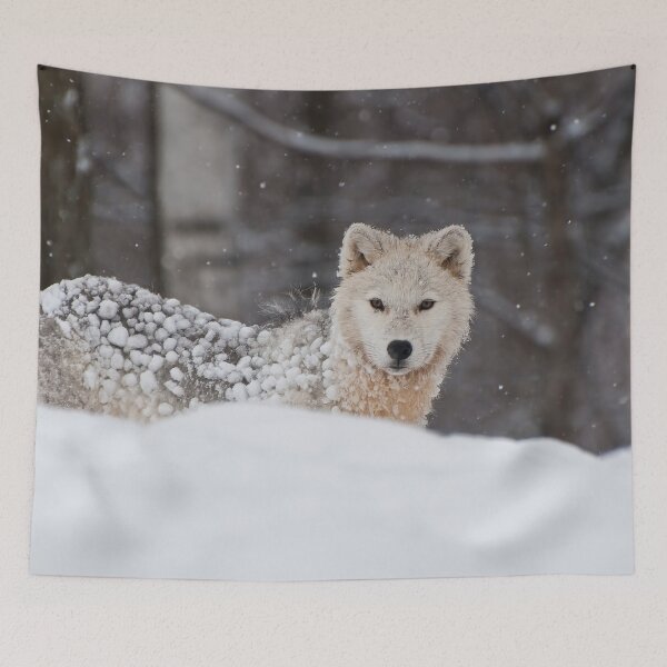 Item preview, Arctic Wolf designed and sold by WolvesOnly.