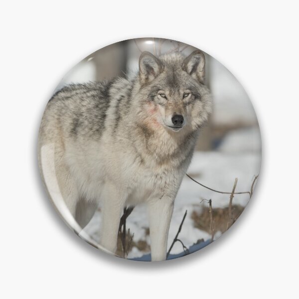 Item preview, Timber Wolf designed and sold by WolvesOnly.
