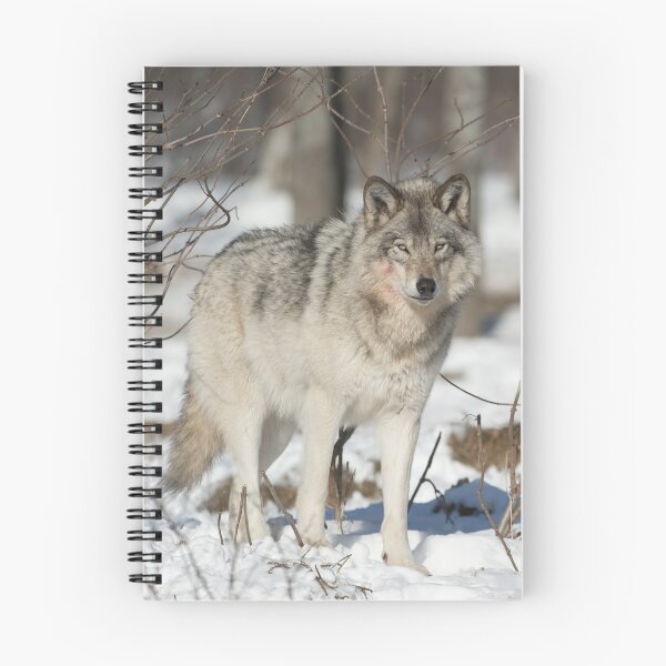 Item preview, Timber Wolf designed and sold by WolvesOnly.