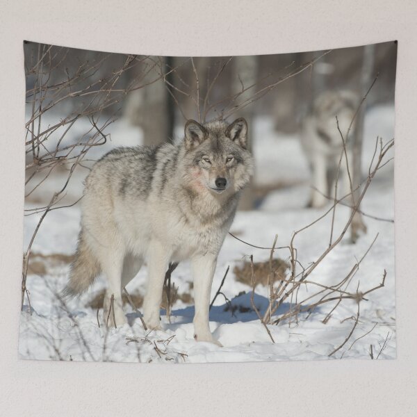 Item preview, Timber Wolf designed and sold by WolvesOnly.